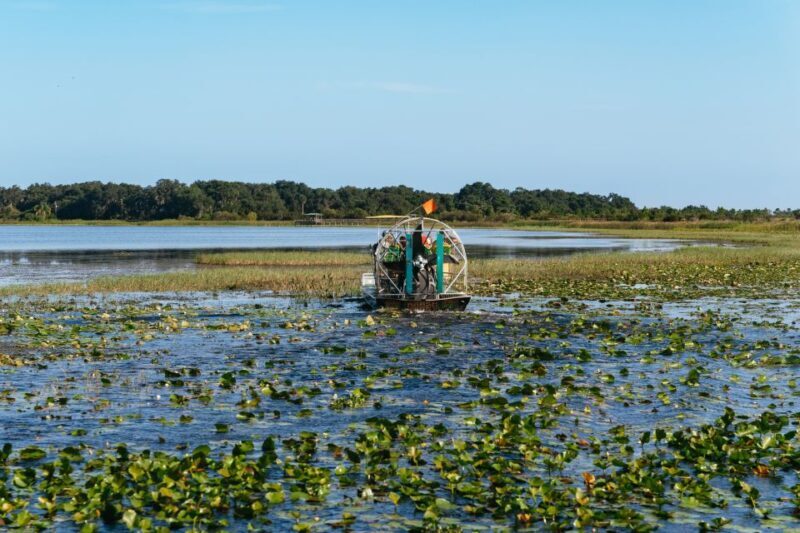 Kissimmee: Everglades Airboat Adventure Tour - The Experience and Its Highlights