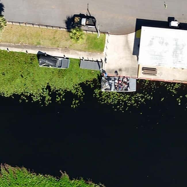 Kissimmee: Everglades Alligator and Wildlife Airboat Tour - Who Will Love This Tour?