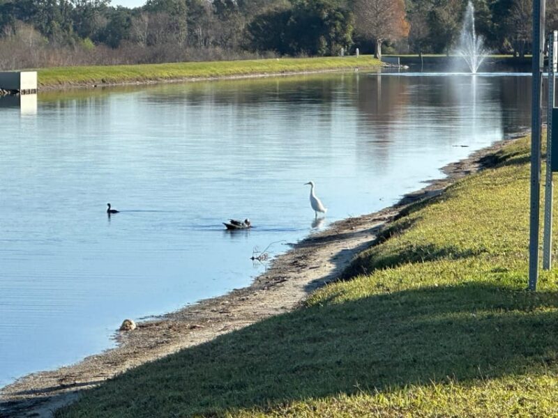 Kissimmee: Self-Guided Lakefront Tour on All Electric Bike - Practical Details