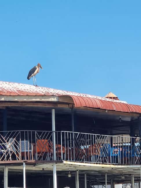 Kisumu: Dunga Fishing Village Walking Tour with a Local - FAQs