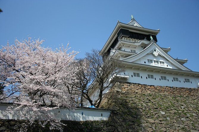 Kitakyushu Full-Day Private Trip with Government-Licensed Guide - The Sum Up