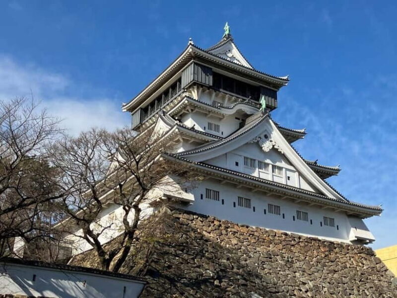 Kitakyushu: Kokura Castle Kimono and Tea Ceremony Tour - Practical Tips for Travelers