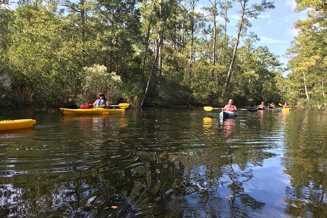 Kitty Hawk Maritime Forest Kayak Tour - Exploring the Kitty Hawk Maritime Forest Kayak Tour