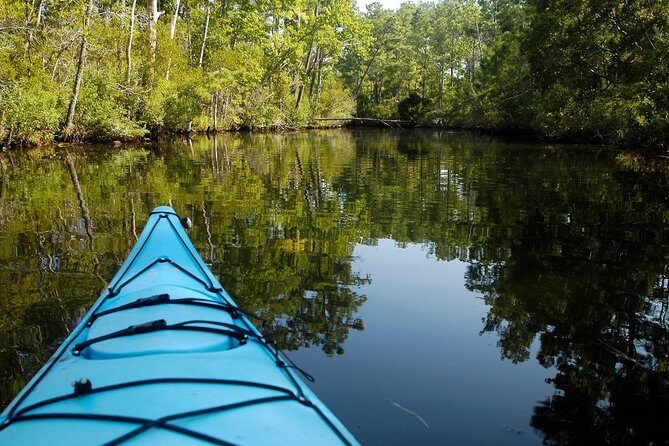 Kitty Hawk Maritime Forest Kayak Tour - Who Will Love This Tour?