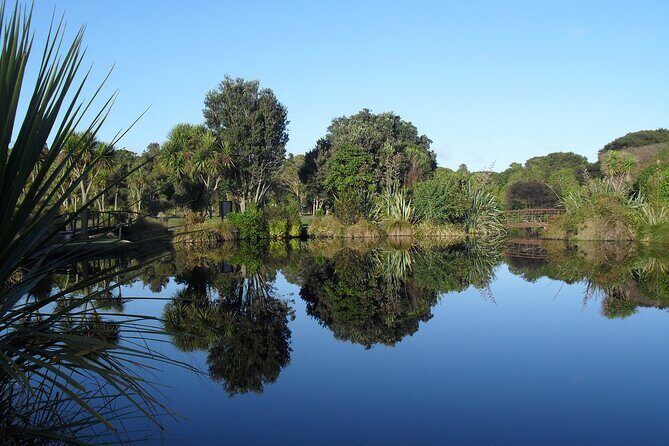 Kiwi Night Encounter at Nga Manu Nature Reserve - What to Expect During the Tour