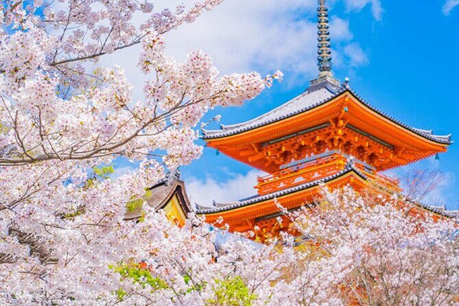 Kiyomizu Temple, Fushimi Inari Taisha: Kyoto & Nara Park Day Tour - FAQ