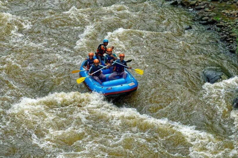 KL: Day Tour with Rafting, Fireflies, and Meals - An Overview of the Day’s Adventure