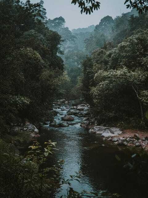 KL: Day Tour with Rafting, Fireflies, and Meals - Final Thoughts