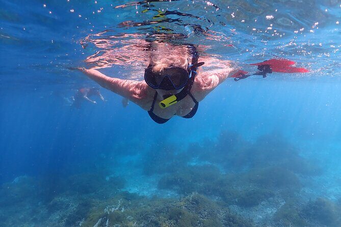 Klein Bonaire Marine Park Snorkeling Excursion - The Itinerary: Two Stops in Bonaire’s Marine Park