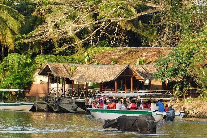 Klias Wildlife Safari River Cruise - Proboscis Monkey & Fireflies - What the Reviews Tell Us