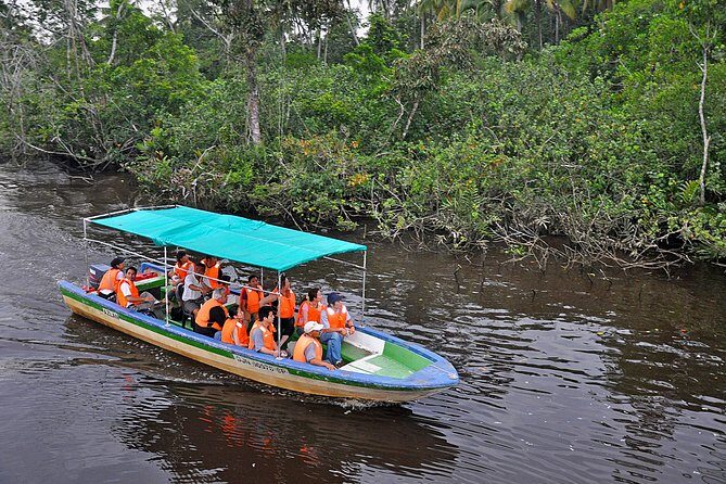 Klias Wildlife Safari River Cruise - Proboscis Monkey & Fireflies - Final Thoughts
