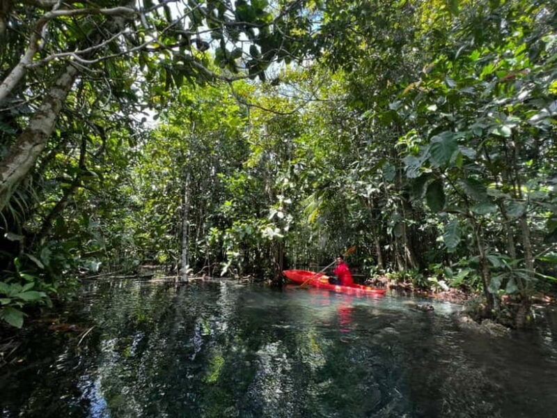 Klong Rud Kayaking with Hotel Transfer - Key Points