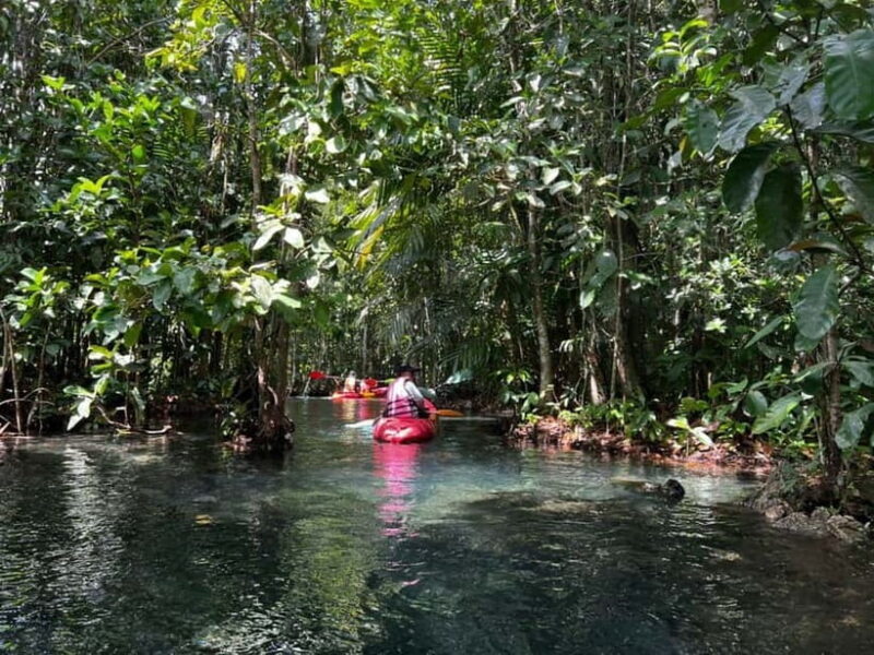 Klong Rud Kayaking with Hotel Transfer - An Honest Look at the Experience