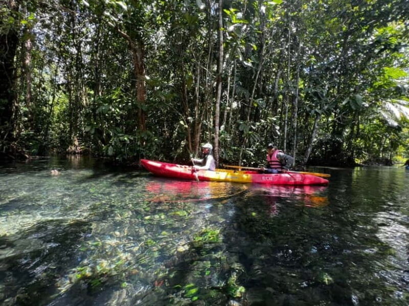 Klong Rud Kayaking with Hotel Transfer - The Crowds and Authenticity