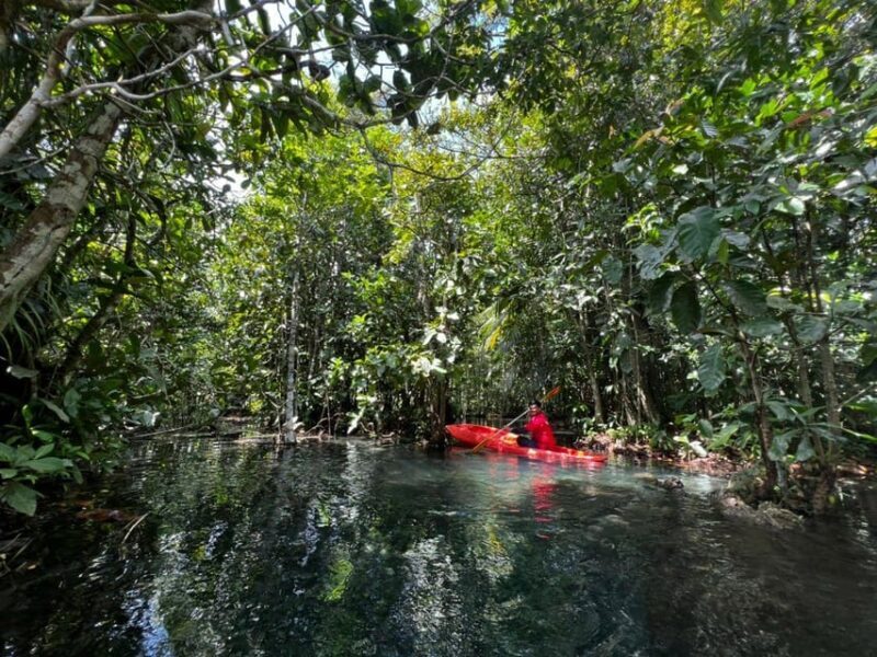Klong Rud Kayaking with Hotel Transfer - Pricing and Value
