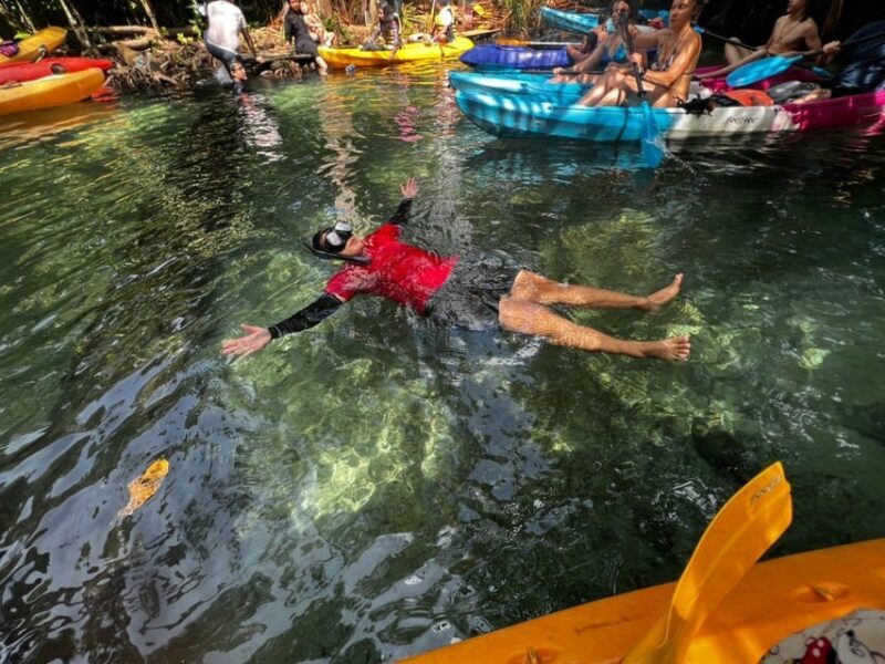 Klong Rud Kayaking with Hotel Transfer - Final Thoughts: Who Will Love This Experience?