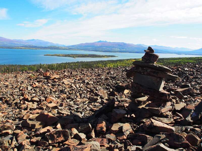 Kluane National Park: Full Day Tour - Value and Practicality
