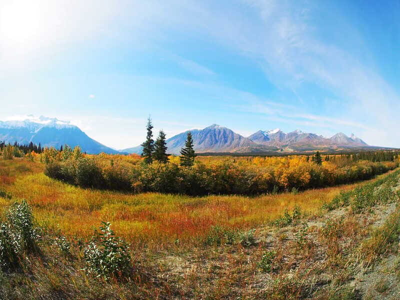 Kluane National Park: Full Day Tour - Who Will Enjoy This Tour?