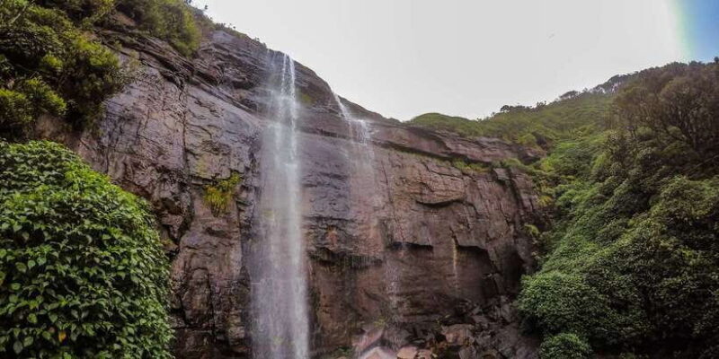 Knuckles Leopard trail Trek from Kandy - An In-Depth Look at the Knuckles Leopard Trail Trek