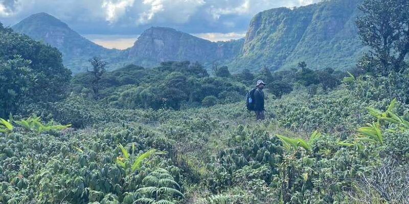 Knuckles Leopard trail Trek from Kandy - Final Thoughts: Who Would Love the Knuckles Leopard Trail?