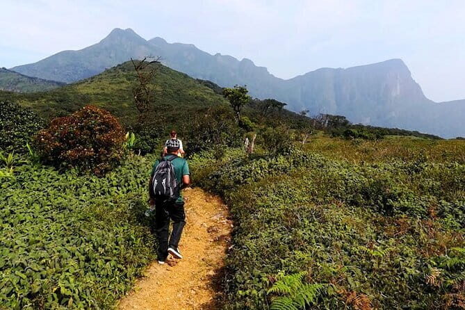 Knuckles Mountain Range Hiking and Trekking Day Tour From Kandy Hotels - An Introduction to the Knuckles Mountain Range Trek