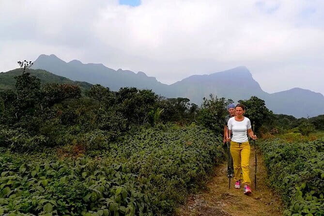 Knuckles Mountain Range Hiking and Trekking Day Tour From Kandy Hotels - What Makes the Trek Special