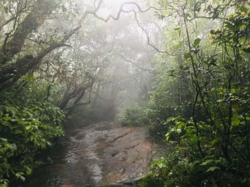 Knuckles Mountain Range: Kotaganga Waterfall Chain Hike - The Sum Up: Is This Tour Worth It?