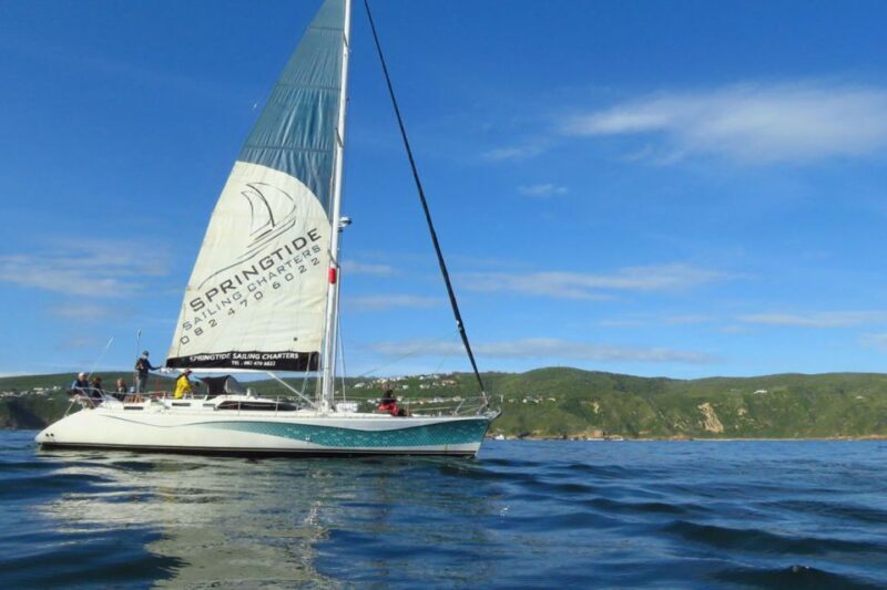 Knysna: 1.5-Hour Sailing Experience - An In-Depth Look at the Knysna Sailing Tour