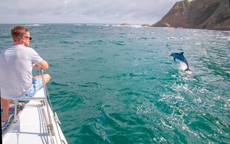 Knysna: #1 Private Scenic Cruise Aboard a Luxury Catamaran - Key Points