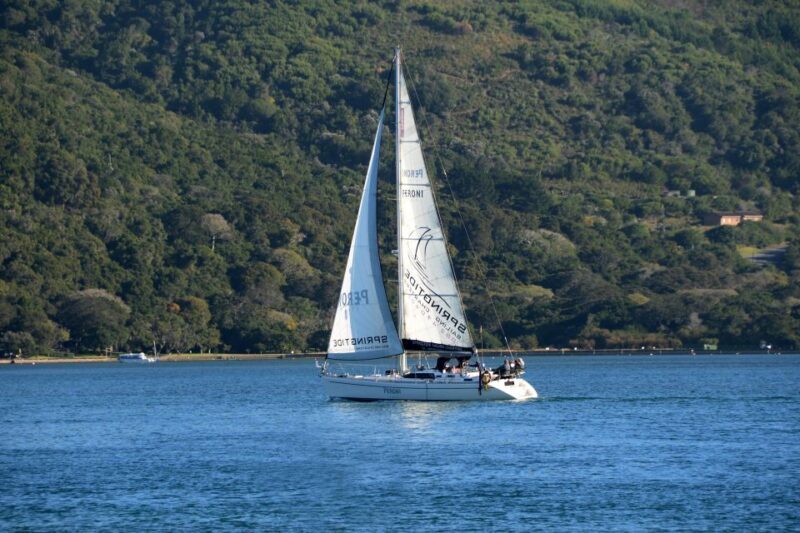 Knysna: 2.5-Hour Day Sail & Lunch Charter - Key Points