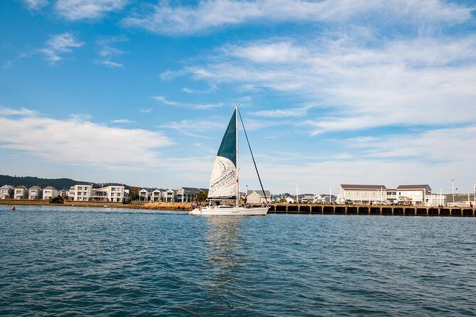 Knysna Day Sail & Lunch Charter 2.5 Hour - Why This Tour Is Worth Considering