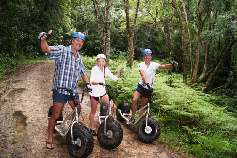 Knysna: Downhill Forest Scootour Adventure - An Authentic Forest Adventure in Knysna