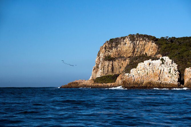 Knysna Heads & Lagoon Adventure Tour - FAQ