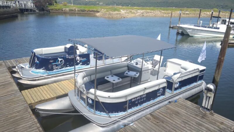 Knysna: Knysna Lagoon Pontoon Boat Cruise - What to Expect from Your Knysna Lagoon Cruise
