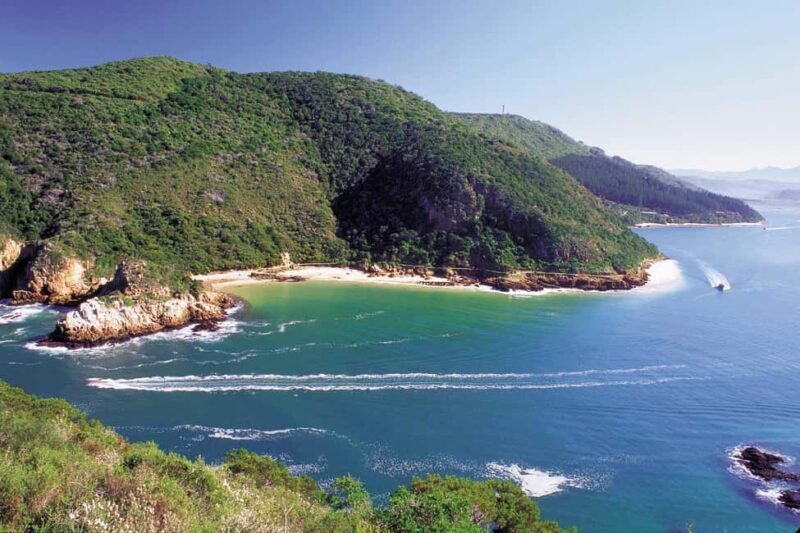 Knysna: Luxury Catamaran Marine Adventure Tour - Practical Tips for Your Cruise