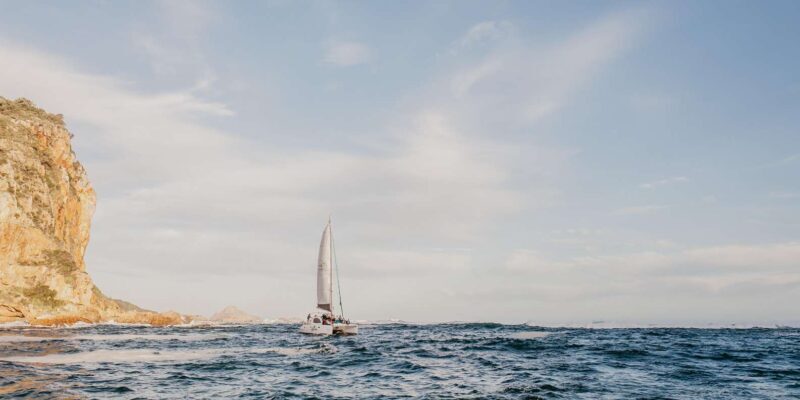 Knysna: Luxury Catamaran Marine Adventure Tour - The Sum Up