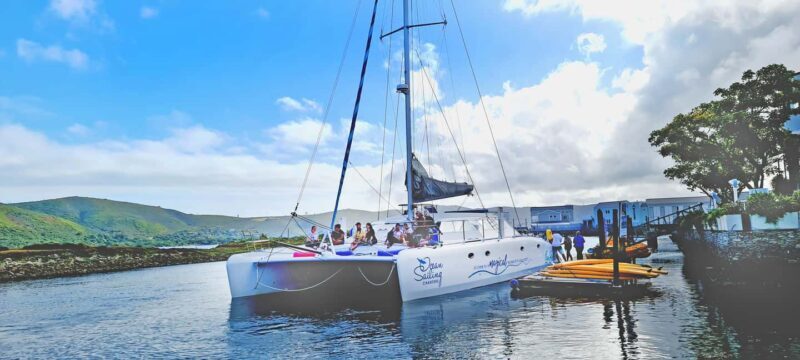 Knysna: Luxury Catamaran Marine Adventure Tour - FAQ