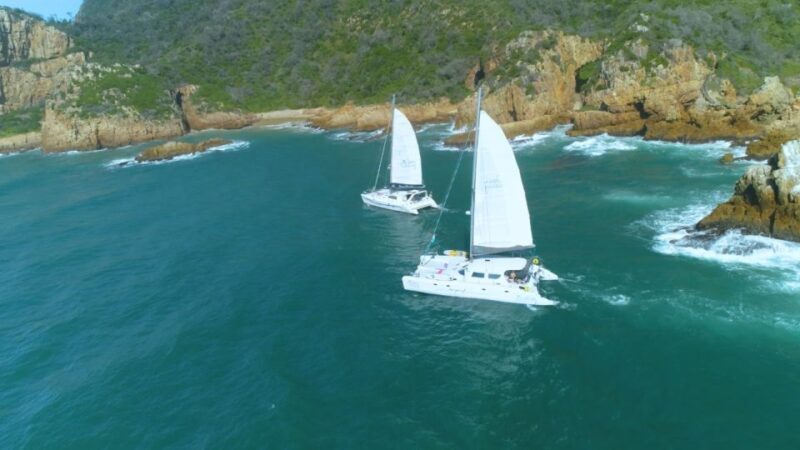 Knysna: Luxury Sunset Cruise with Captain's Barbeque - Who Would Love This Experience?