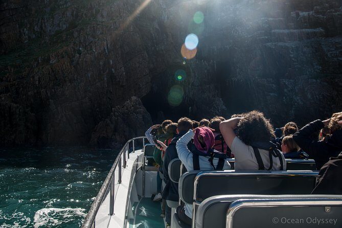 Knysna Marine Life & Garden Route Coastline Experience - Frequently Asked Questions