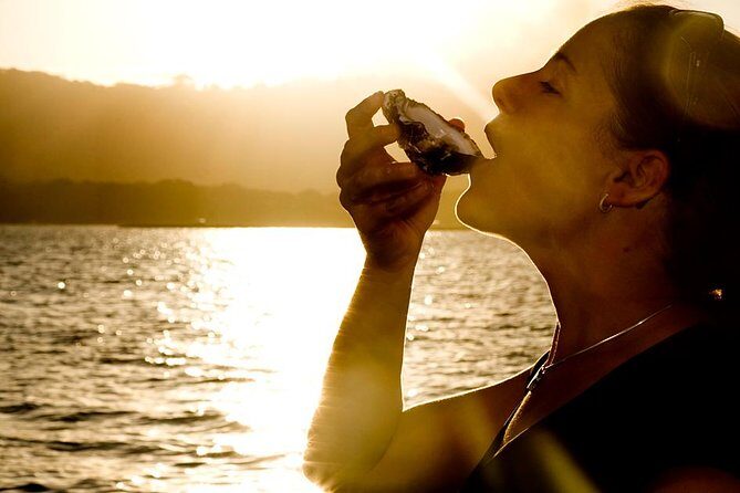 Knysna Oyster Tour - Oyster and Wine Tasting