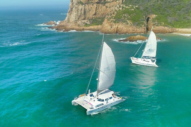 Knysna Sunset Sailing Cruise with captain's steak Braai & Bubbly - Key Points