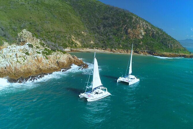 Knysna Sunset Sailing Cruise with captain's steak Braai & Bubbly - The Sum Up
