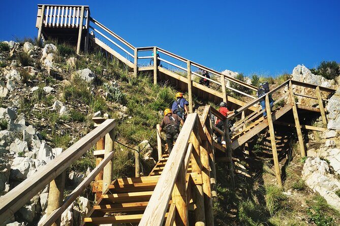 Knysna Ziplines Tour - Review Highlights from Participants