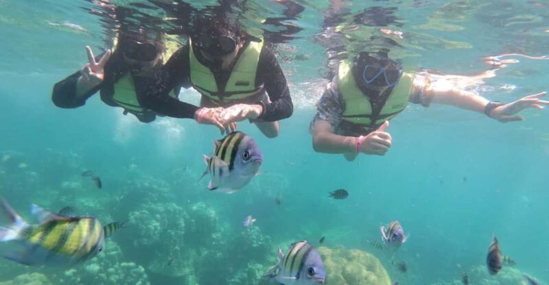 Ko Lanta: 4 Islands and Emerald Cave Day Tour by Speedboat - Frequently Asked Questions