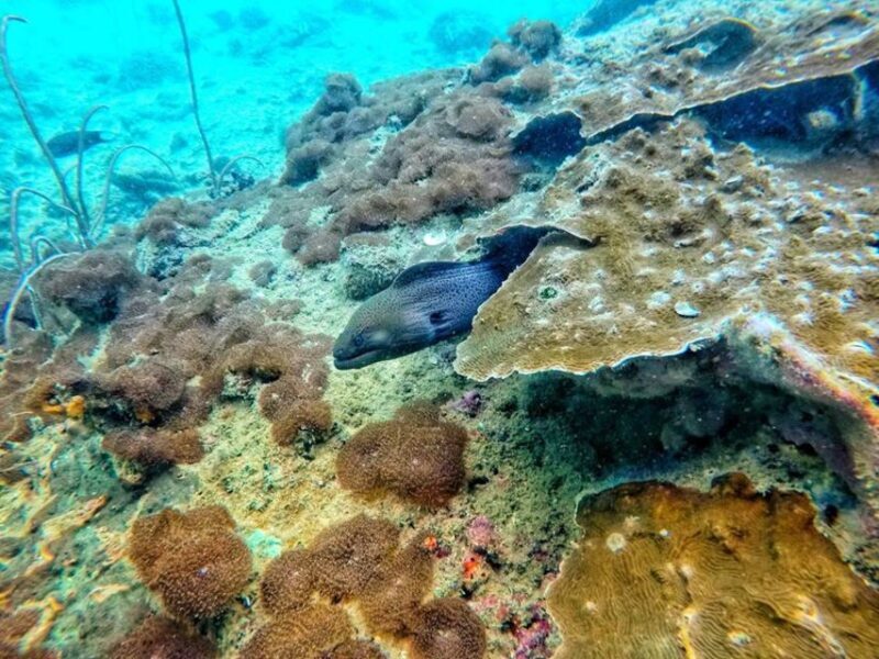 Ko Lanta: 4 Islands Snorkeling Tour by Longtail Boat - Exploring the Itinerary: What to Expect