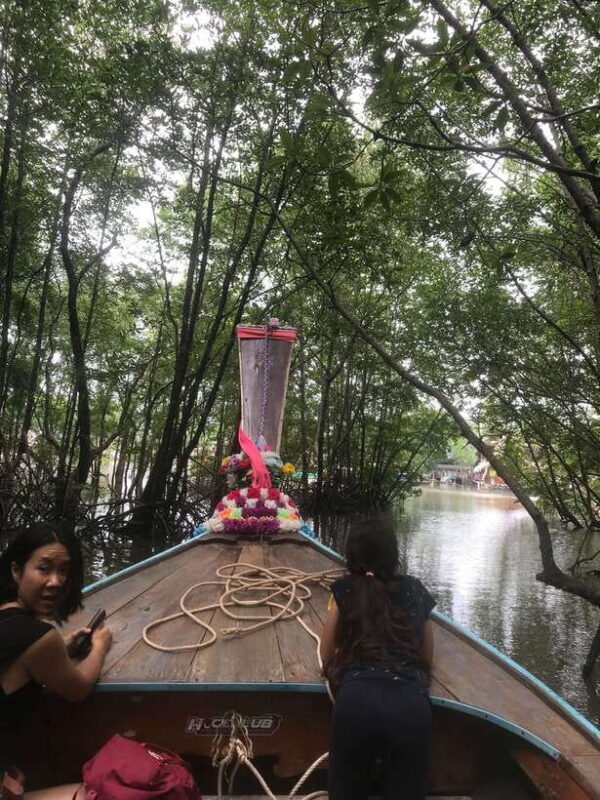 Ko Lanta: EXPLORE MANGROVE TOUR BY LONGTAIL BOAT WITH LUNCH - A Full Breakdown of the Experience