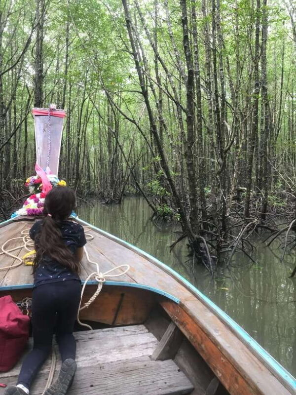 Ko Lanta: EXPLORE MANGROVE TOUR BY LONGTAIL BOAT WITH LUNCH - The Sum Up: Is This Tour Worth It?
