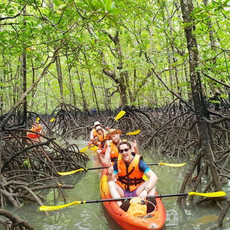 Ko Lanta: HALF DAY EXPLORE MANGROVE KAYAKING TOUR AND LUNCH - Exploring Ko Lantas Mangroves: A Practical Review of the Half-Day Kayaking Tour