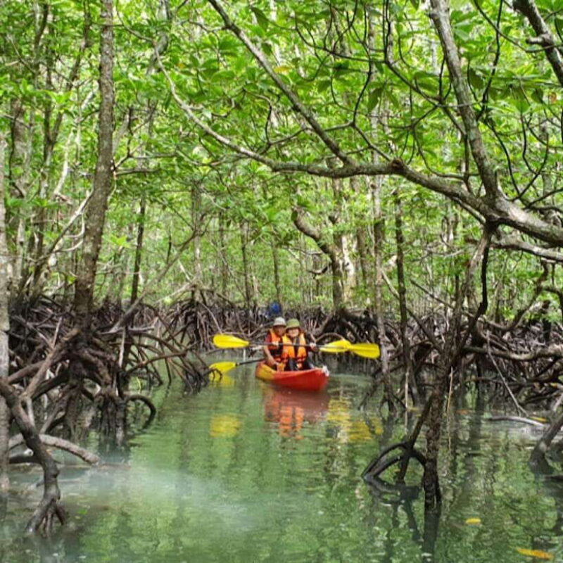 Ko Lanta: HALF DAY EXPLORE MANGROVE KAYAKING TOUR AND LUNCH - Why This Tour Offers Great Value