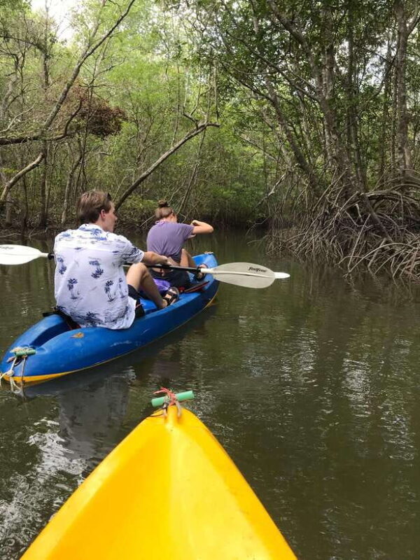 Ko Lanta: HALF DAY EXPLORE MANGROVE KAYAKING TOUR AND LUNCH - Practical Tips for Participants